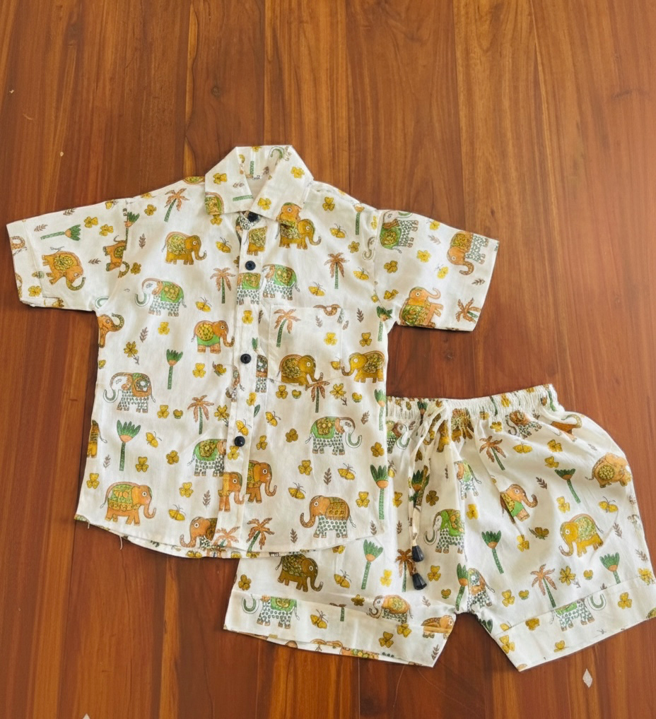 Elephant Print Pure Cotton Co ord Set (12-18M)